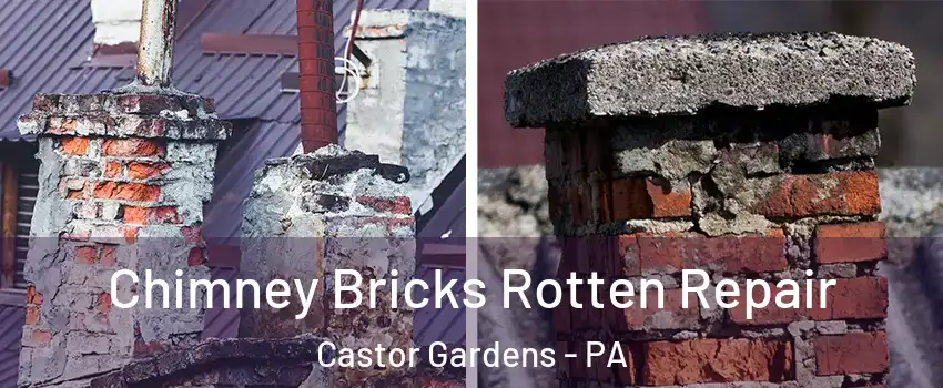 Chimney Bricks Rotten Repair Castor Gardens - PA