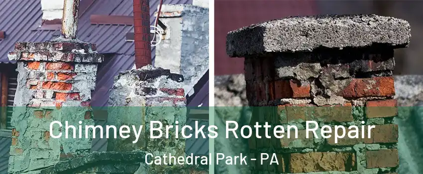 Chimney Bricks Rotten Repair Cathedral Park - PA