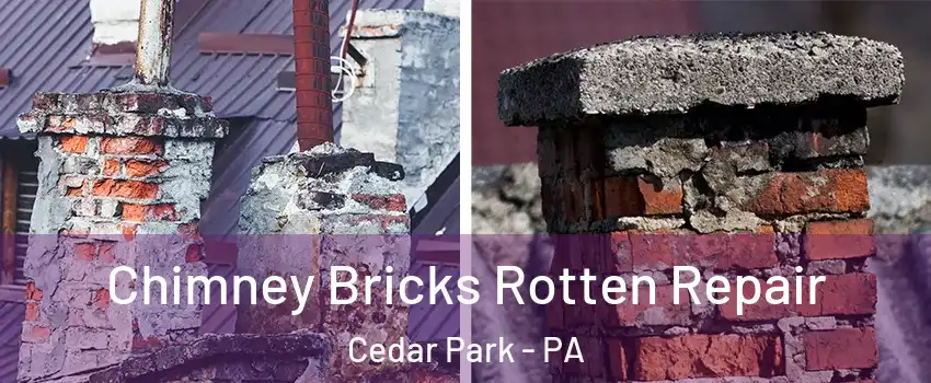 Chimney Bricks Rotten Repair Cedar Park - PA