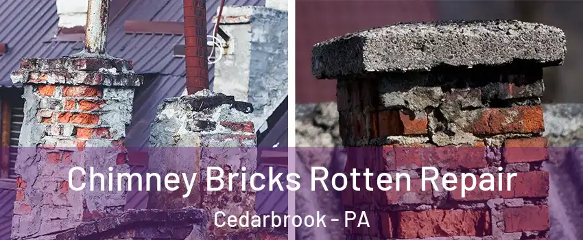 Chimney Bricks Rotten Repair Cedarbrook - PA