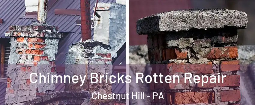Chimney Bricks Rotten Repair Chestnut Hill - PA