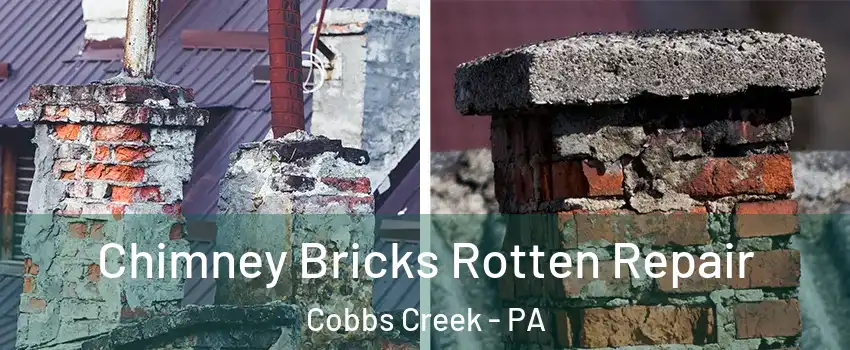 Chimney Bricks Rotten Repair Cobbs Creek - PA