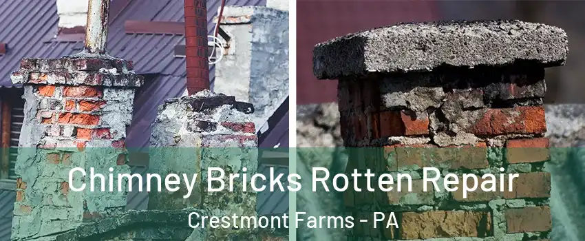 Chimney Bricks Rotten Repair Crestmont Farms - PA