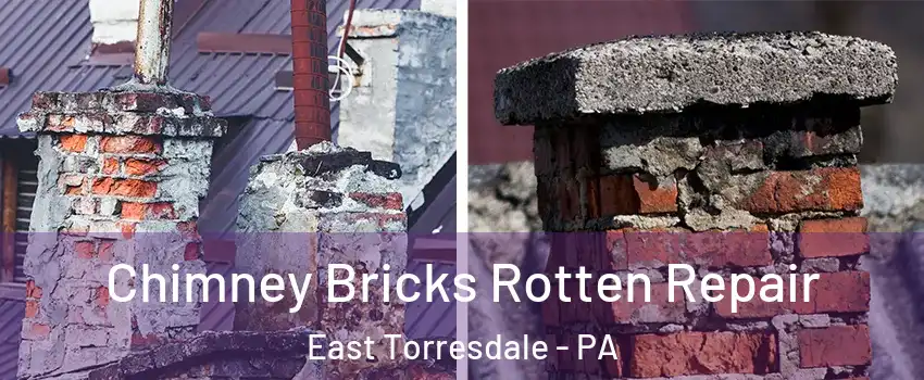 Chimney Bricks Rotten Repair East Torresdale - PA