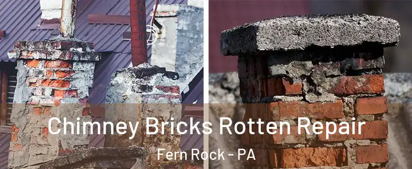 Chimney Bricks Rotten Repair Fern Rock - PA