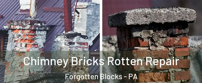 Chimney Bricks Rotten Repair Forgotten Blocks - PA