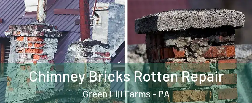 Chimney Bricks Rotten Repair Green Hill Farms - PA