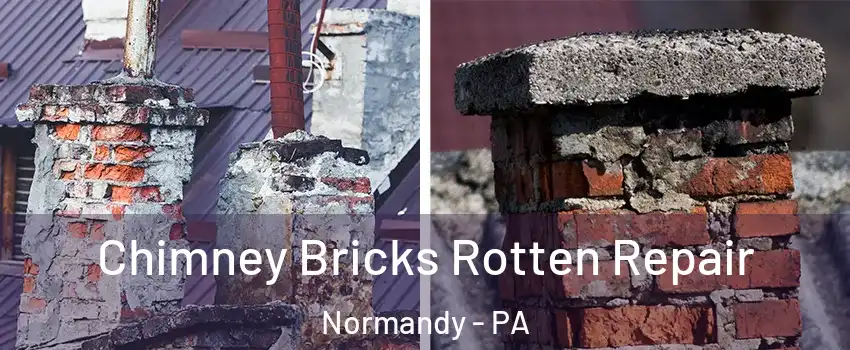 Chimney Bricks Rotten Repair Normandy - PA
