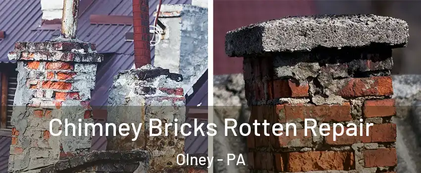 Chimney Bricks Rotten Repair Olney - PA