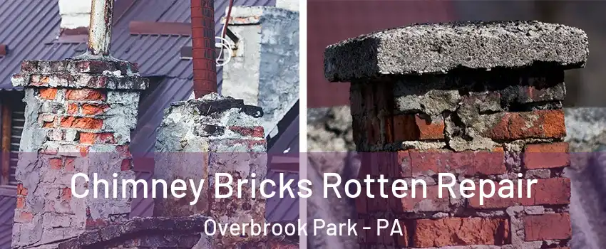 Chimney Bricks Rotten Repair Overbrook Park - PA