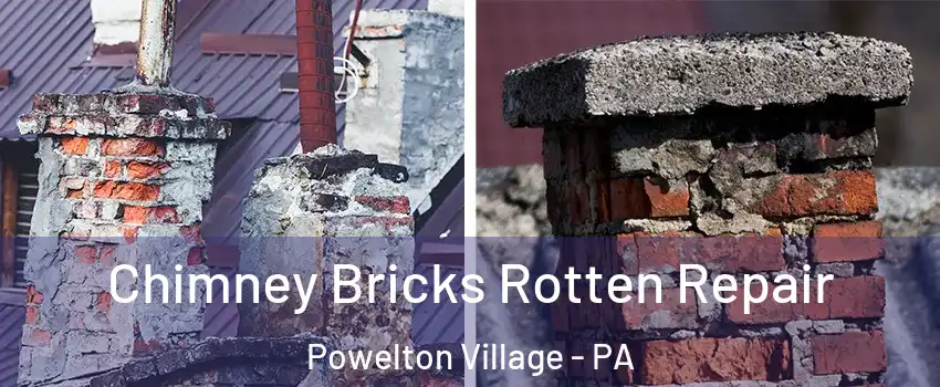 Chimney Bricks Rotten Repair Powelton Village - PA