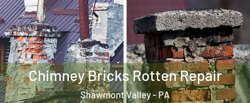 Chimney Bricks Rotten Repair Shawmont Valley - PA