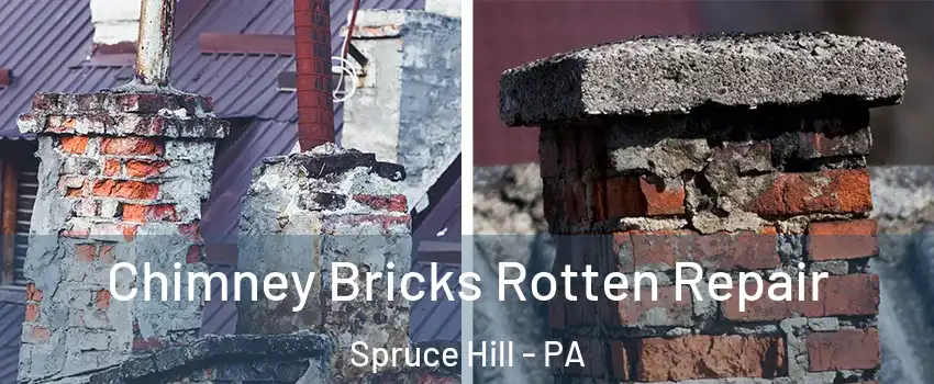 Chimney Bricks Rotten Repair Spruce Hill - PA