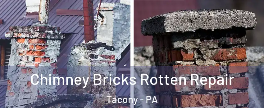 Chimney Bricks Rotten Repair Tacony - PA