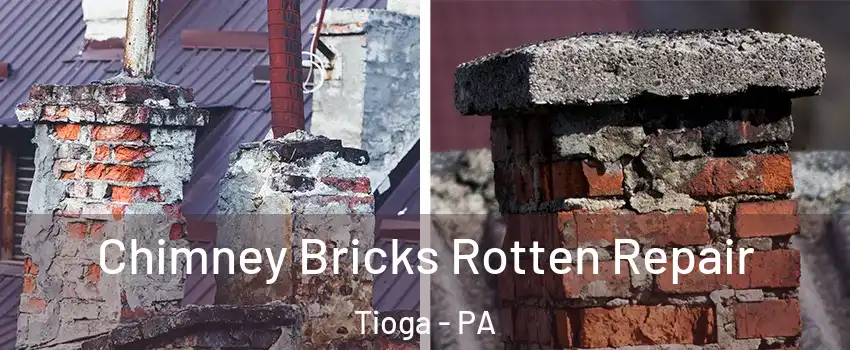 Chimney Bricks Rotten Repair Tioga - PA