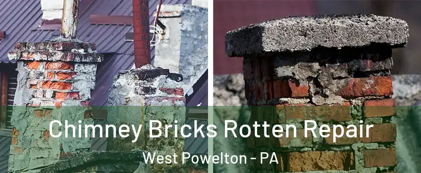 Chimney Bricks Rotten Repair West Powelton - PA