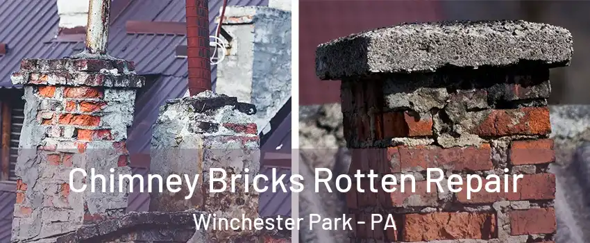 Chimney Bricks Rotten Repair Winchester Park - PA