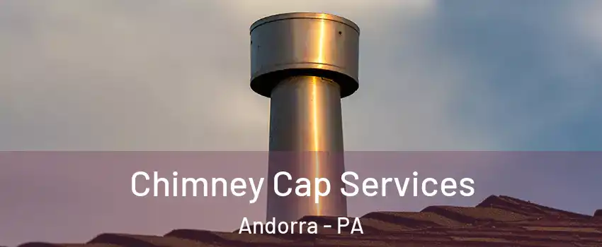 Chimney Cap Services Andorra - PA