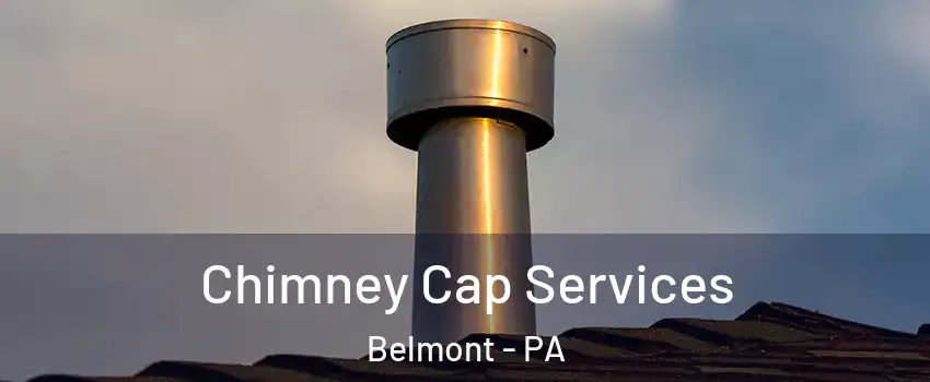 Chimney Cap Services Belmont - PA