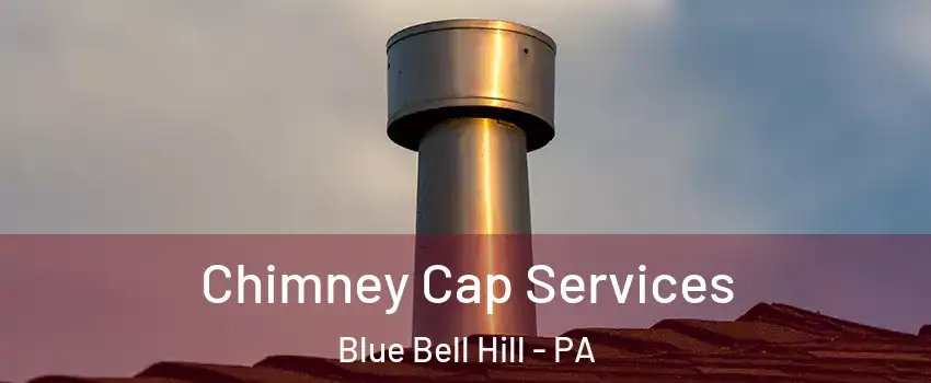 Chimney Cap Services Blue Bell Hill - PA