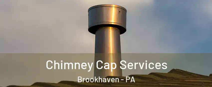 Chimney Cap Services Brookhaven - PA