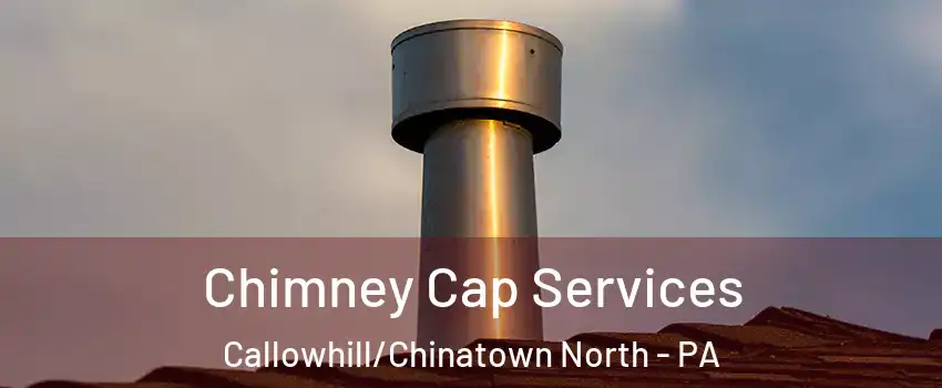 Chimney Cap Services Callowhill/Chinatown North - PA