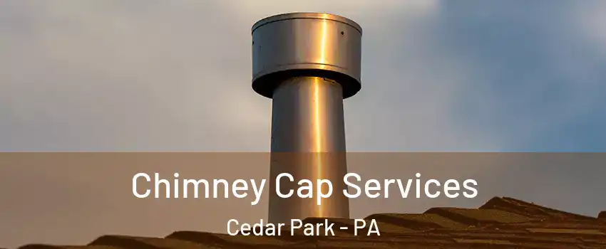 Chimney Cap Services Cedar Park - PA