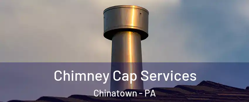Chimney Cap Services Chinatown - PA