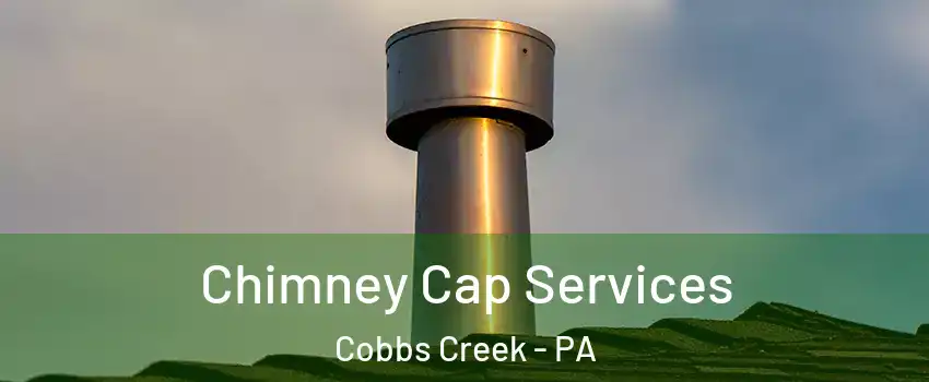 Chimney Cap Services Cobbs Creek - PA