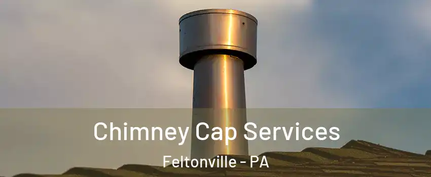 Chimney Cap Services Feltonville - PA