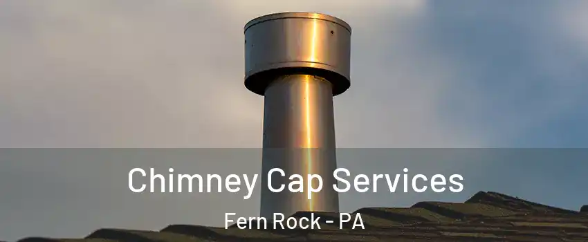 Chimney Cap Services Fern Rock - PA