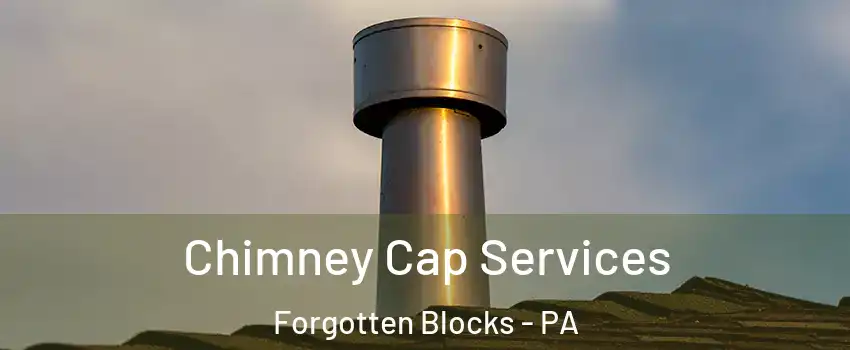 Chimney Cap Services Forgotten Blocks - PA