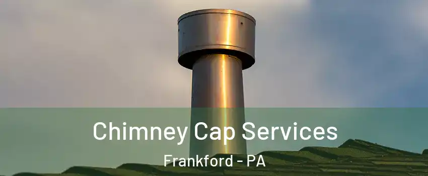 Chimney Cap Services Frankford - PA