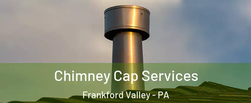 Chimney Cap Services Frankford Valley - PA