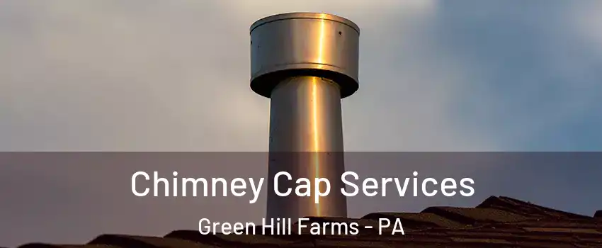 Chimney Cap Services Green Hill Farms - PA
