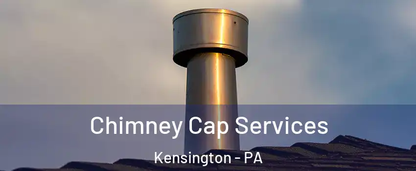 Chimney Cap Services Kensington - PA