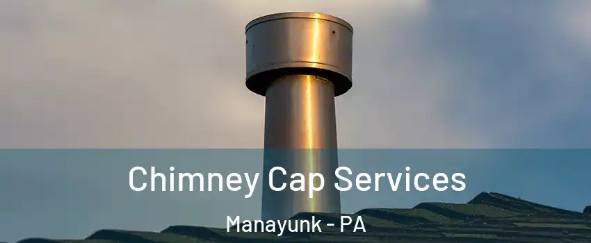 Chimney Cap Services Manayunk - PA