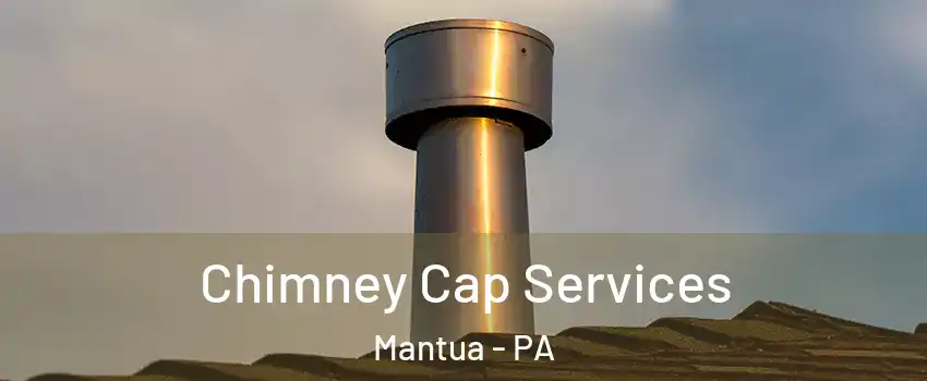 Chimney Cap Services Mantua - PA
