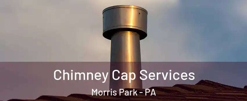 Chimney Cap Services Morris Park - PA