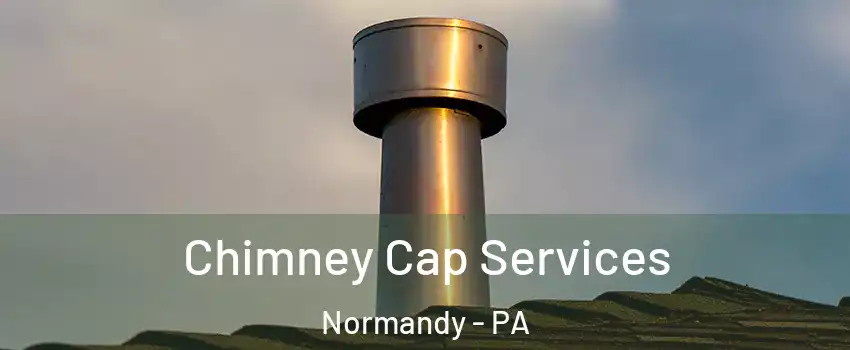 Chimney Cap Services Normandy - PA