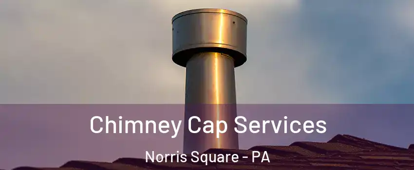 Chimney Cap Services Norris Square - PA