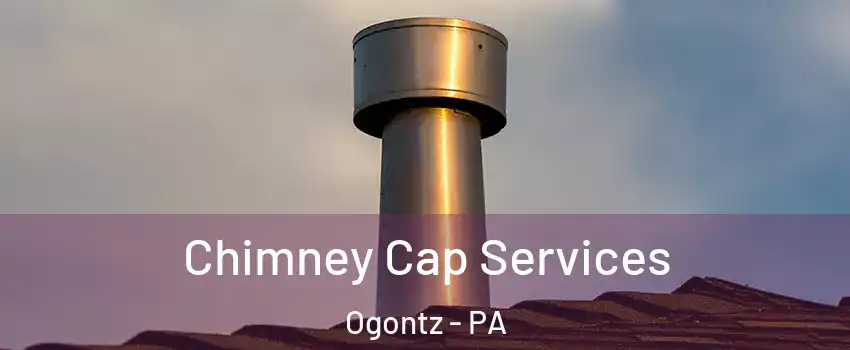 Chimney Cap Services Ogontz - PA