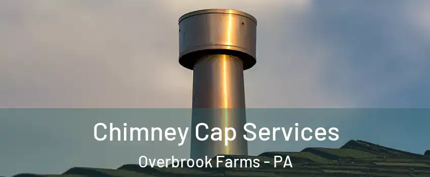 Chimney Cap Services Overbrook Farms - PA