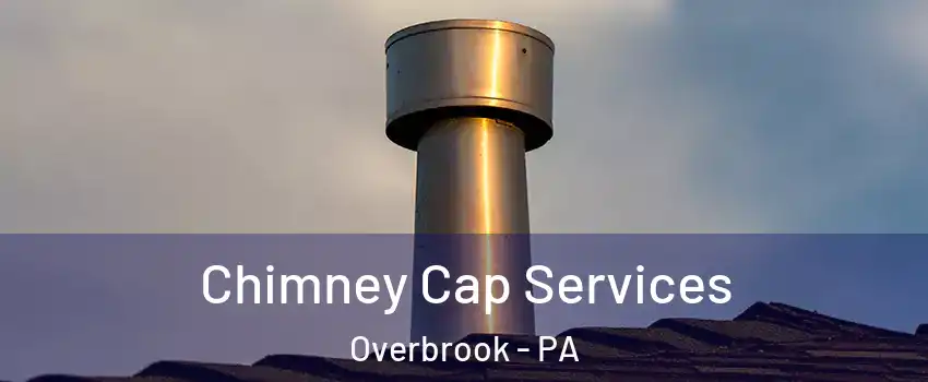 Chimney Cap Services Overbrook - PA