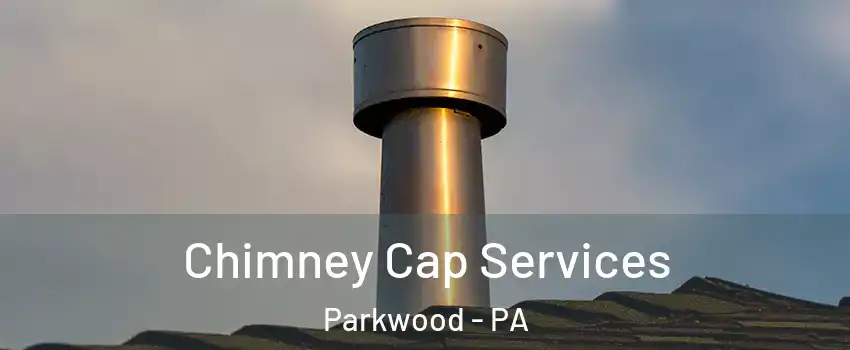Chimney Cap Services Parkwood - PA