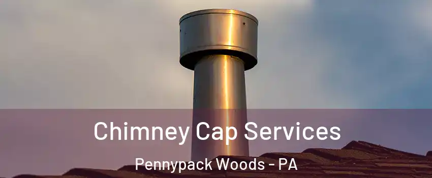 Chimney Cap Services Pennypack Woods - PA