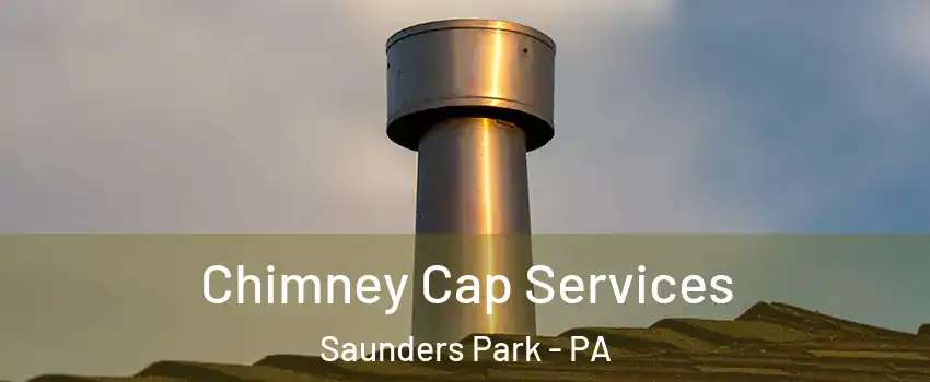 Chimney Cap Services Saunders Park - PA