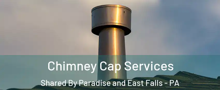 Chimney Cap Services Shared By Paradise and East Falls - PA