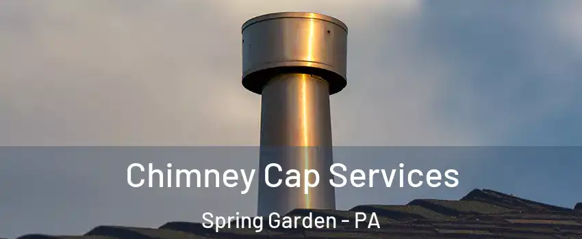 Chimney Cap Services Spring Garden - PA