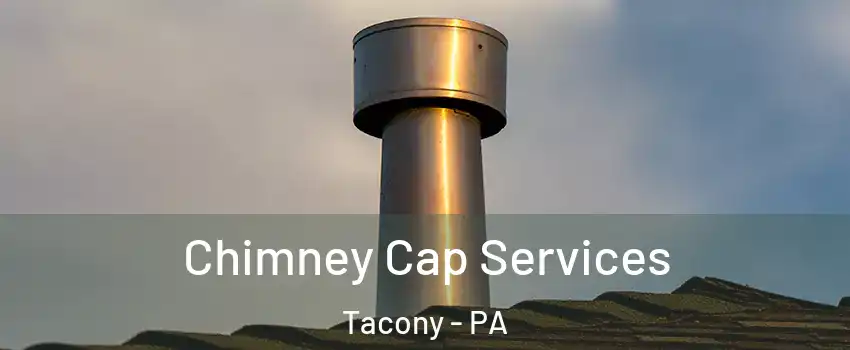 Chimney Cap Services Tacony - PA